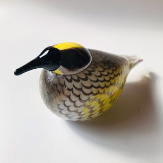 イッタラ(iittala)のにく。様専用　イッタラ   バード　 Yellow Rumped Warbler(置物)