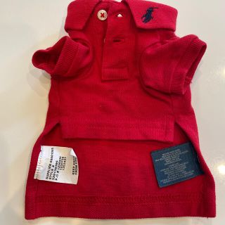 ポロラルフローレン(POLO RALPH LAUREN)のすぬぅぴぃ様専用　ラルフローレン　犬服(犬)