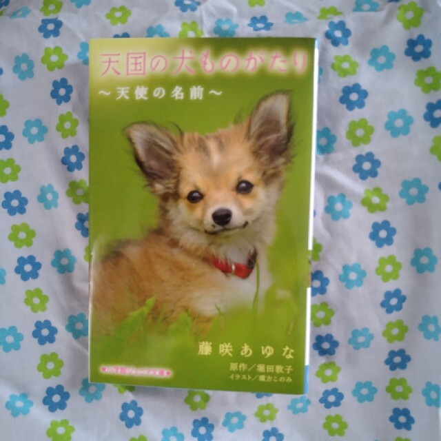 値下げ⬇天国の犬ものがたり 天使の名前 エンタメ/ホビーの本(文学/小説)の商品写真