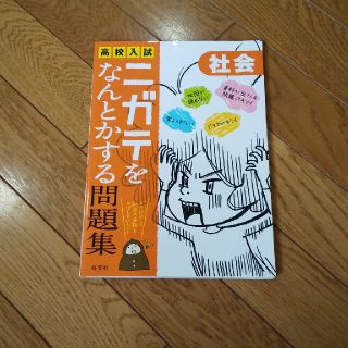 高校入試ニガテをなんとかする問題集 社会(語学/参考書)