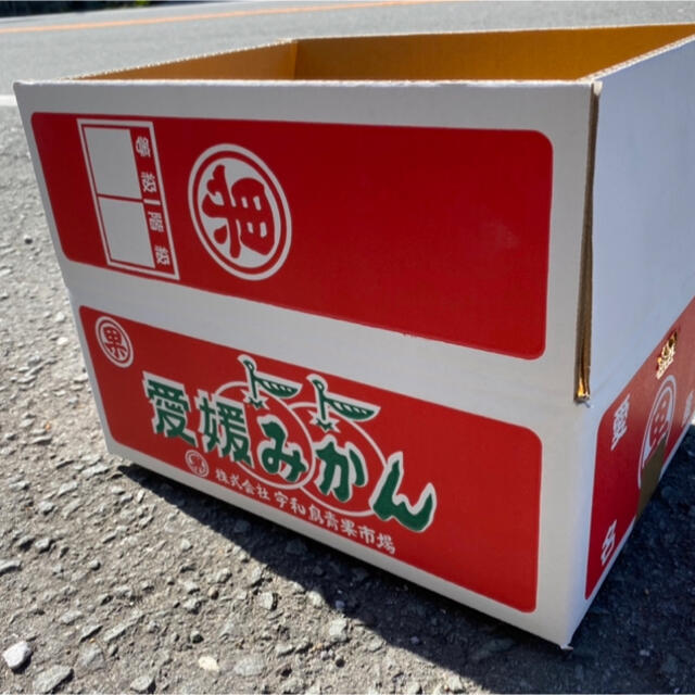 愛媛県　はれひめ　5kg 食品/飲料/酒の食品(フルーツ)の商品写真