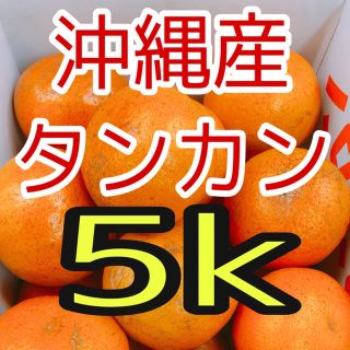 タンカン箱込み5k(沖縄産)(フルーツ)