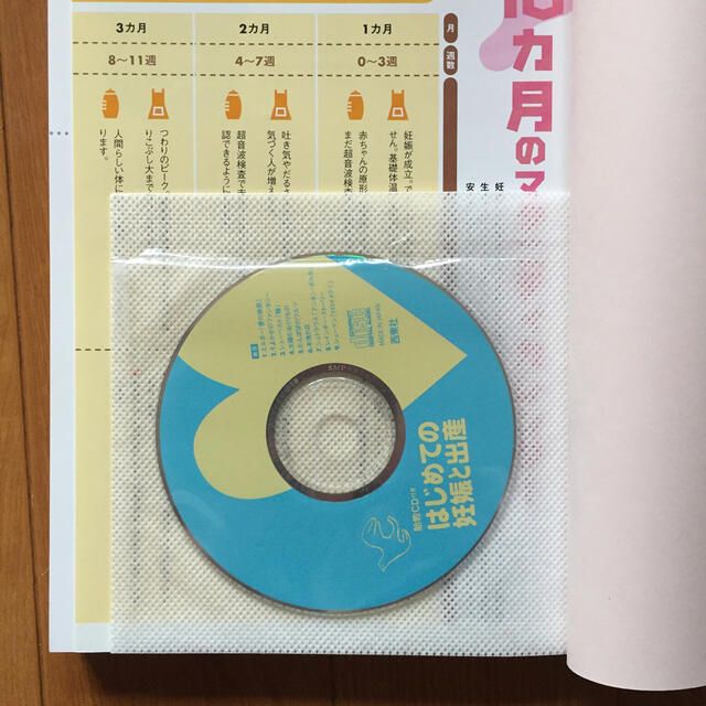 胎教ＣＤ付き　はじめての妊娠と出産 ママと赤ちゃんのしあわせ＆安心１０カ月 エンタメ/ホビーの雑誌(結婚/出産/子育て)の商品写真