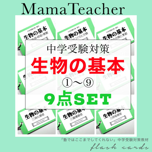 【100】中学受験　算数・国語・理科・社会　暗記カードセット　参考書問題集