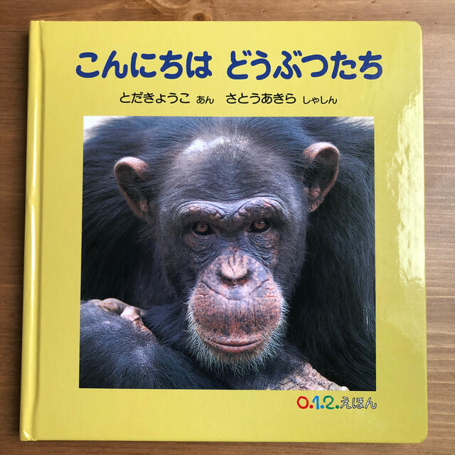 こんにちはどうぶつたち エンタメ/ホビーの本(絵本/児童書)の商品写真