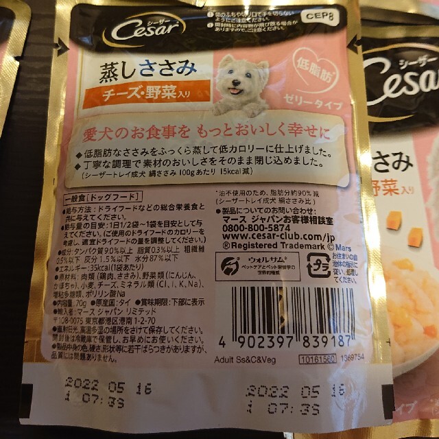 CASAR(シーザー)の おまけつき☆シーザー 蒸しささみ チーズ・野菜入り ゼリータイプ 70g×8 その他のペット用品(ペットフード)の商品写真