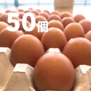 蔵王鶏園の「眠れる森のたまご」(野菜)