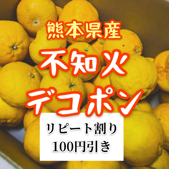 熊本県産　デコポン 食品/飲料/酒の食品(フルーツ)の商品写真