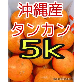 タンカン箱込み5k(沖縄産)(フルーツ)