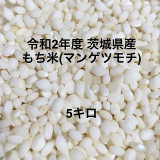 令和2年度 もち米 5kg 農業直送！(米/穀物)