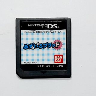 ニンテンドーDS(ニンテンドーDS)のみずいろブラッド【激レア】【動作確認済み】(携帯用ゲームソフト)