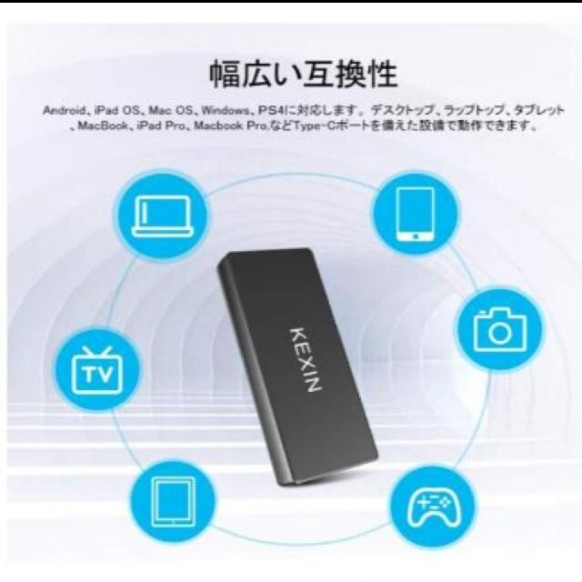 [特価]KEXIN ポータブルSSD 250GB スマホ/家電/カメラのPC/タブレット(PC周辺機器)の商品写真