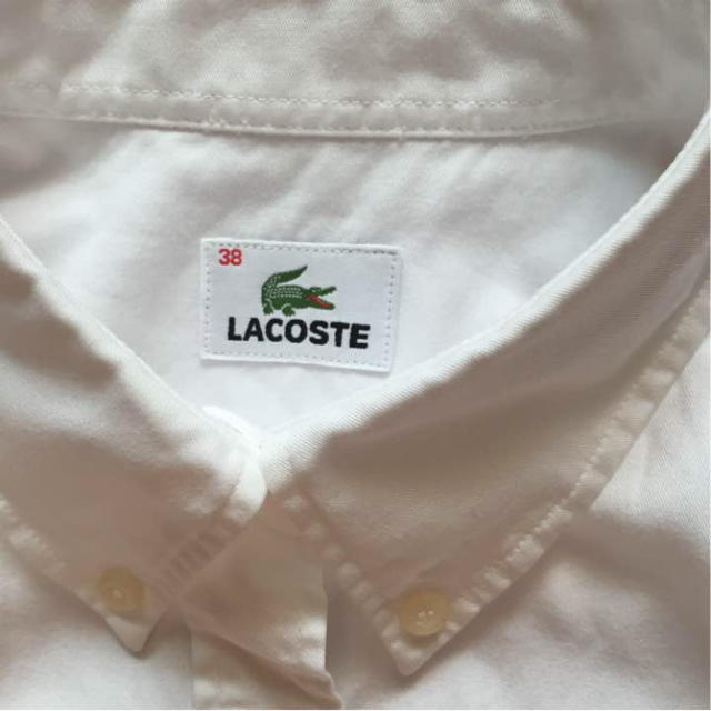 LACOSTE(ラコステ)のラコステシャツ レディースのトップス(シャツ/ブラウス(半袖/袖なし))の商品写真