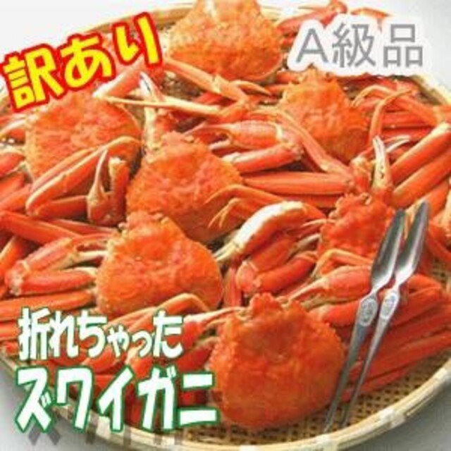 訳あり　カナダ産折れちゃったズワイ蟹A級品　3キロ