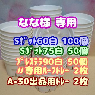 【スリット鉢】Ｓポット丸型75白50個 他 プレステラ 多肉植物 プラ鉢(プランター)