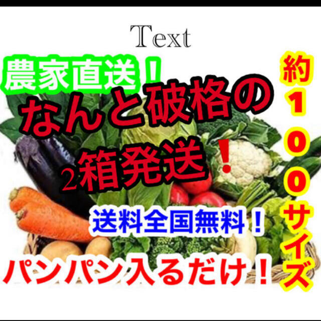 約破格❗️100サイズ2箱発送❗️農家直送野菜詰め合わせ送料全国無料❗️ 食品/飲料/酒の食品(野菜)の商品写真