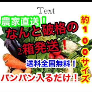 約破格❗️100サイズ2箱発送❗️農家直送野菜詰め合わせ送料全国無料❗️(野菜)