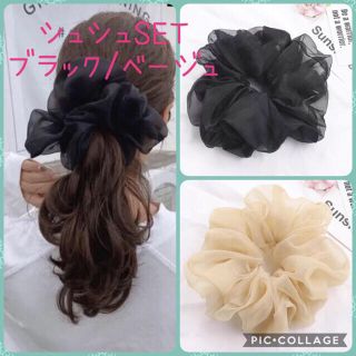 【最終値下】単品 オーガンジー　シュシュ　ベージュ　ビッグシュシュ　大きめ(ヘアゴム/シュシュ)