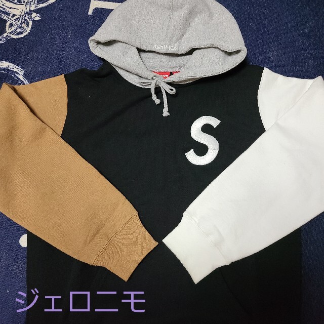 S Logo Colorblocked Hooded sweatshirt