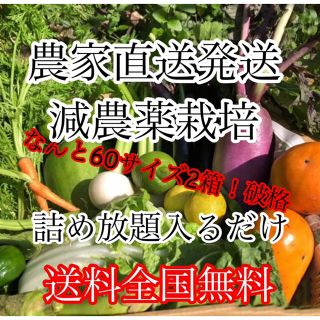 冬野菜詰め合わせ破格60サイズ2箱‼️ダンボール入るだけ(野菜)