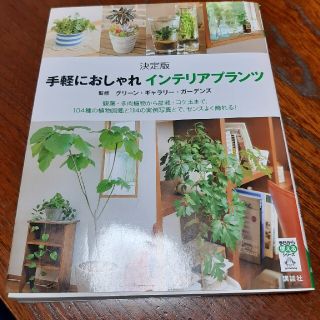 手軽におしゃれインテリアプランツ 観葉・多肉植物から盆栽・コケ玉まで、１０４種の(趣味/スポーツ/実用)