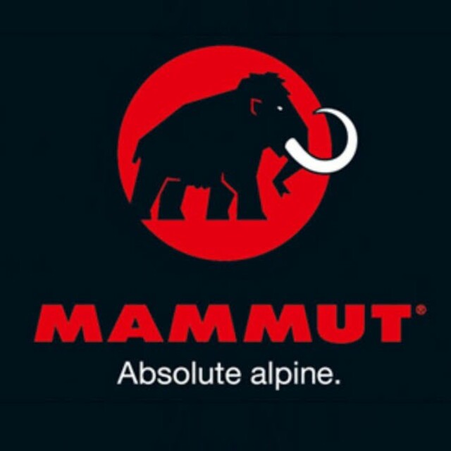 Mammut(マムート)のMAMMUT(マムート)　アイロンワッペン スポーツ/アウトドアのアウトドア(登山用品)の商品写真