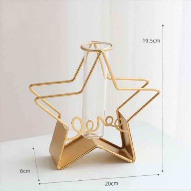 新品 インスタ映え インテリア 星 スター 花瓶 オシャレ 北欧 生花 飾りの通販 By Morandi S Shop ラクマ 新品 インスタ映え インテリア 星 スター 花瓶 オシャレ 北欧 生花 飾りの通販 By Morandi S Shop ラクマ