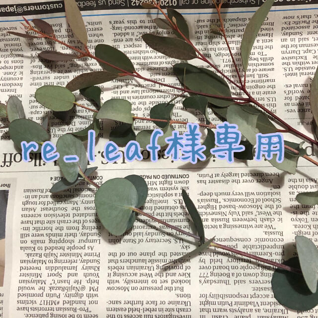 re_leaf様専用ユーカリ ハンドメイドのフラワー/ガーデン(ドライフラワー)の商品写真