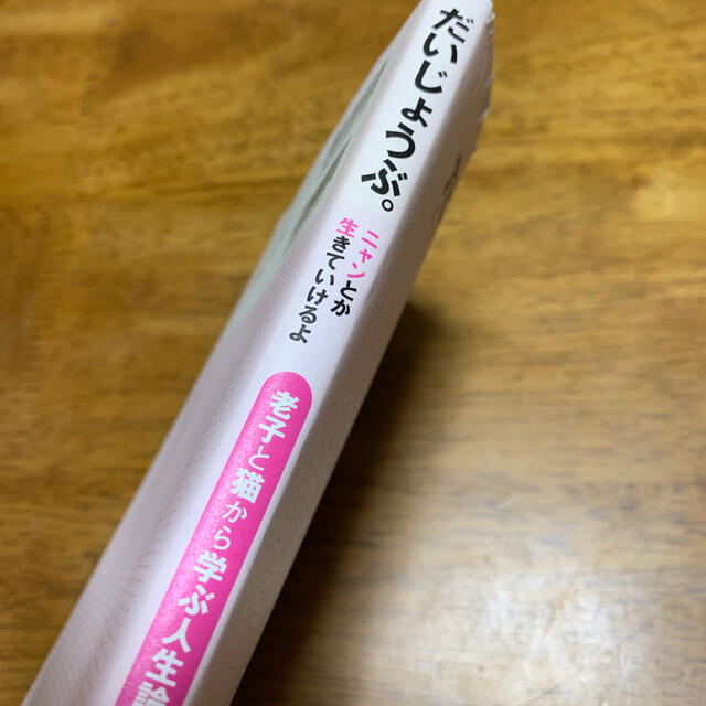 ☆お値下げ☆だいじょうぶ。ニャンとか生きていけるよ 老子と猫から学ぶ人生論 エンタメ/ホビーの本(文学/小説)の商品写真