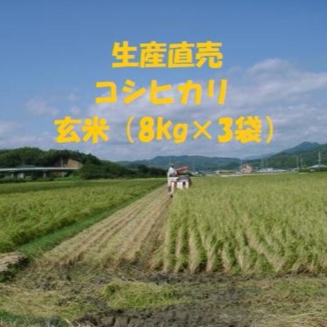 楽天市場】コシヒカリ 令和6年産 米 玄米 10kg 20kg 30kg 精米