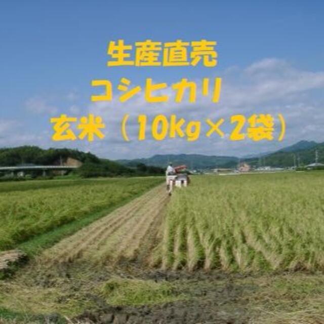 食品令和５年産新米コシヒカリ玄米20kg（10kg×２袋）精米・分搗き精米・対