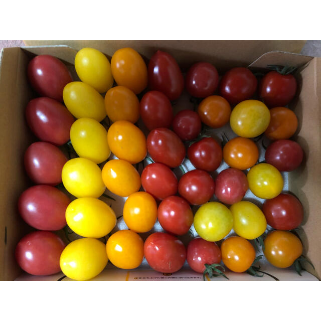 ミニトマト８種セット　1キロ 食品/飲料/酒の食品(野菜)の商品写真