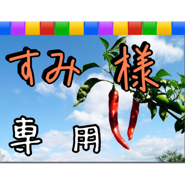 すみ 様 専用】出品です。 感謝の声続々! 9132円 www.gold-and-wood.com