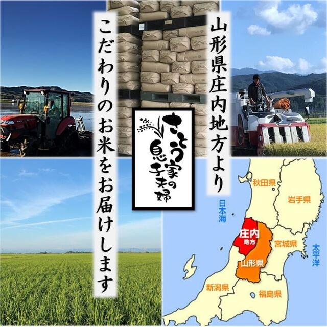 令和２年新米　山形県庄内産　食べ比べセット　玄米１０ｋｇ　Ｇセレクション 3