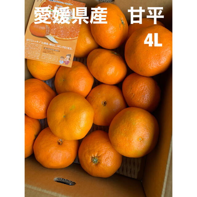 愛媛県産　甘平4L 食品/飲料/酒の食品(フルーツ)の商品写真