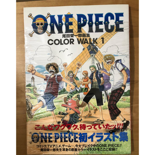 ワンピース One Piece イラスト集 Color Walk 1の通販 By Pocapoka S Shop ラクマ