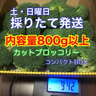 カットブロッコリー　コンパクトBOX 採りたて発送(野菜)