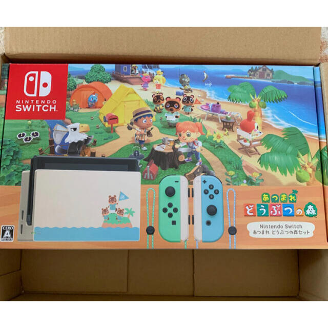 あつまれどうぶつの森　switch 本体　任天堂　2台あり