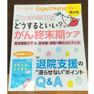 Expert Nurse (エキスパートナース) 2019年 01月号(専門誌)
