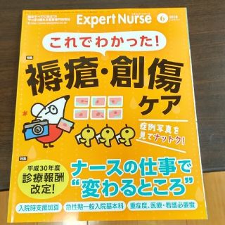 【デニムバッグ様専用】Expert Nurse 2018年 06月号、7月号(専門誌)