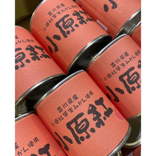 小原紅早生みかん缶詰 24個入り