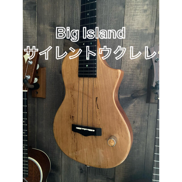 Big Island サイレントウクレレ