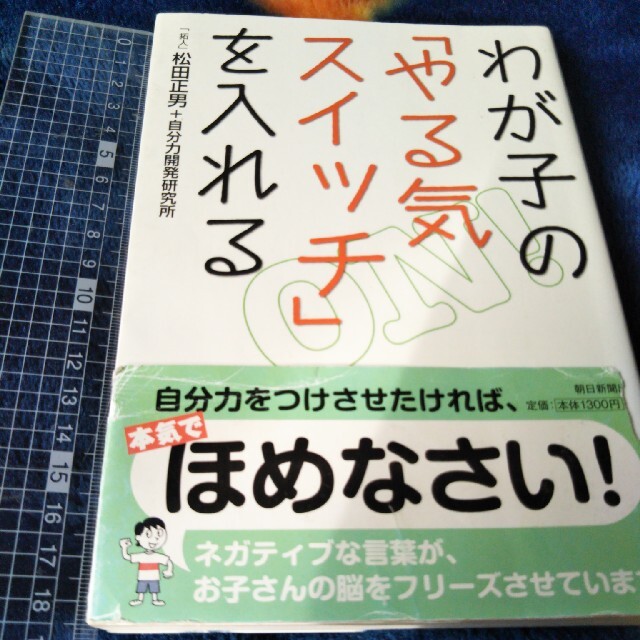 本わが子のやる気スイッチを入れる エンタメ/ホビーの本(住まい/暮らし/子育て)の商品写真