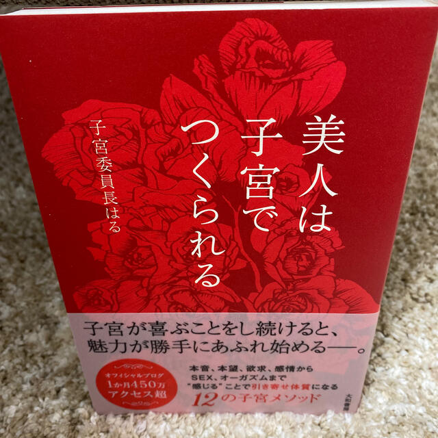 美人は子宮でつくられる エンタメ/ホビーの本(文学/小説)の商品写真