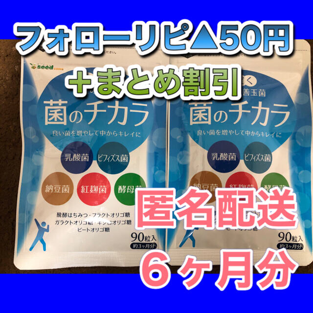 菌のチカラ、ごぼう、DHA白色　各6カ月