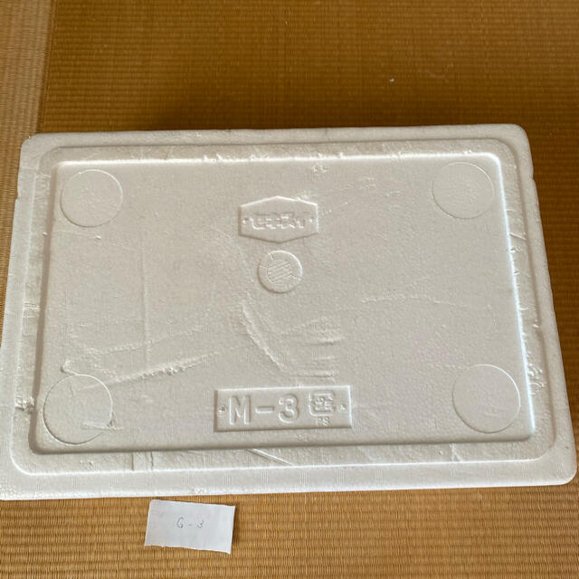 G-3  発泡スチロール箱　ボックス ハンドメイドの素材/材料(その他)の商品写真