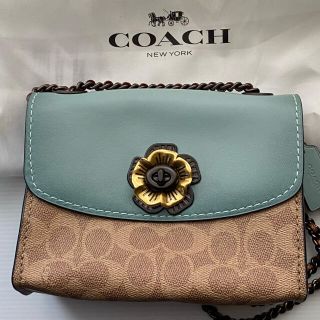 コーチ(COACH)のrui703様専用COACH 限定ティーローズショルダーバッグ(ショルダーバッグ)