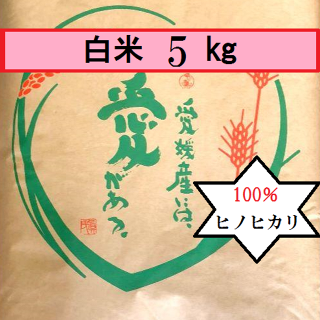 お米　令和2年　愛媛県産ヒノヒカリ　白米　5㎏ 食品/飲料/酒の食品(米/穀物)の商品写真