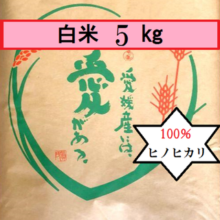 お米　令和2年　愛媛県産ヒノヒカリ　白米　5㎏(米/穀物)