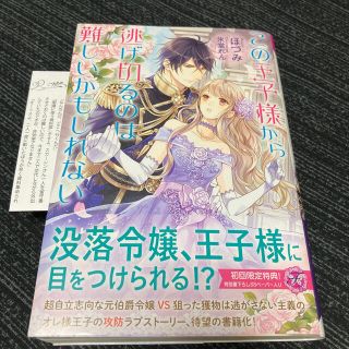 この王子様から逃げ切るのは難しいかもしれない(文学/小説)